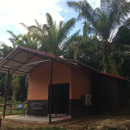 Khao Sok Evergreen House Khao Sok National Park Exterior photo