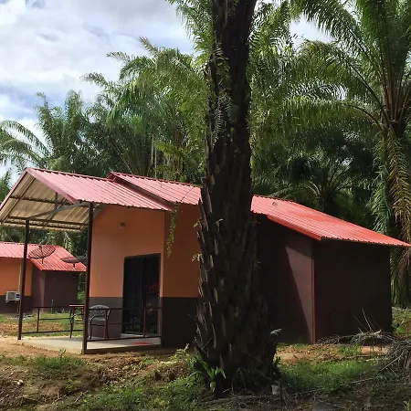 Khao Sok Evergreen House Khao Sok National Park Exterior photo