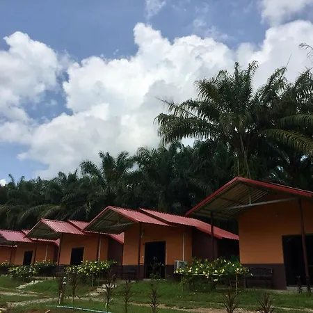Khao Sok Evergreen House Khao Sok National Park Exterior photo