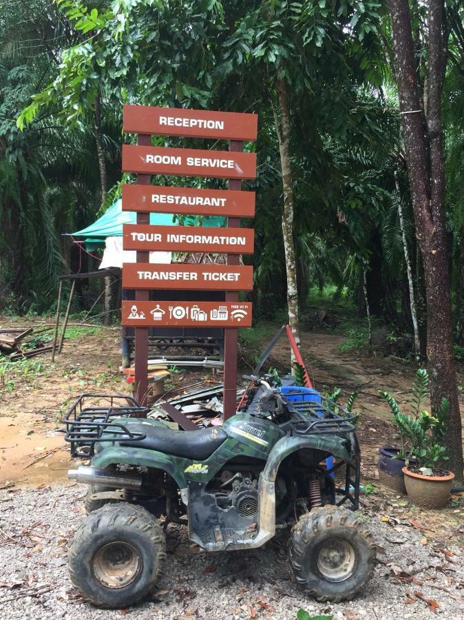 เขาสก เอเวอร์กรีน เฮ้าส์ Khao Sok National Park