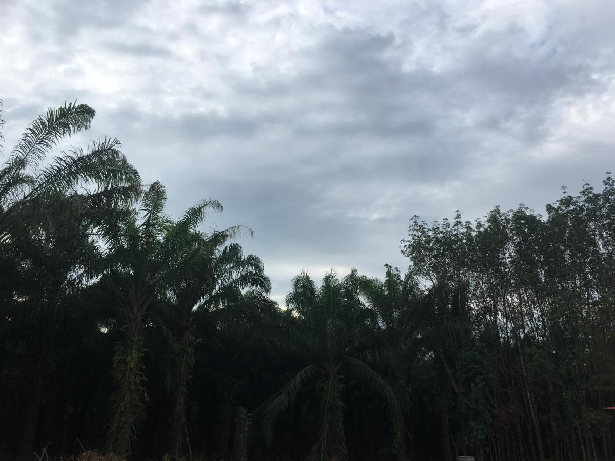 เขาสก เอเวอร์กรีน เฮ้าส์ * Khao Sok National Park